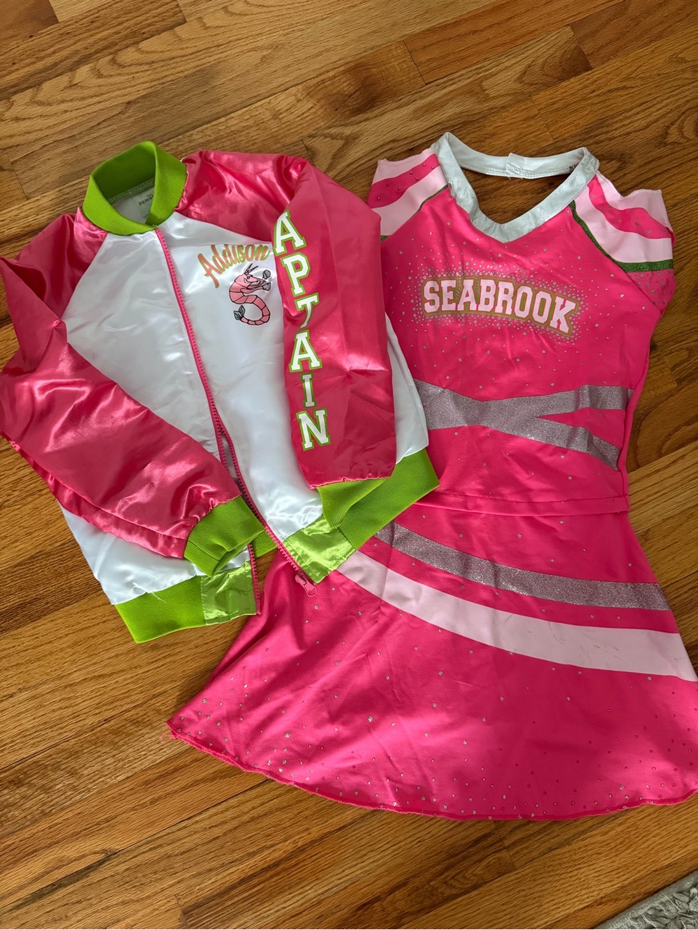 Disney Zombies 3 Cheer Costume